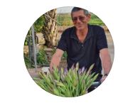 מנהל פרויקטים - אבי לוי